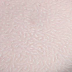 Leonardo Assiettes en céramique Matera (18 élém.) - Rose -Vaisselle Soldes 1000263028 210607 13522000080 DETAILS P000000001000263028